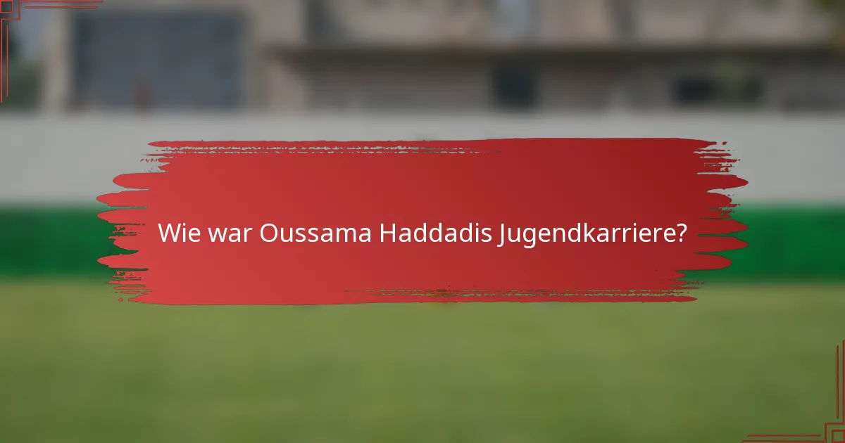 Wie war Oussama Haddadis Jugendkarriere?